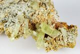 Lustrous, Yellow Apatite Crystals on Feldspar - Morocco #185455-1